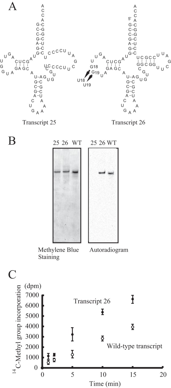 FIGURE 4.