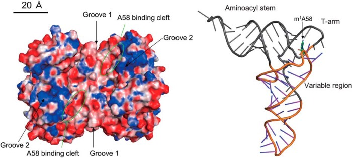 FIGURE 10.