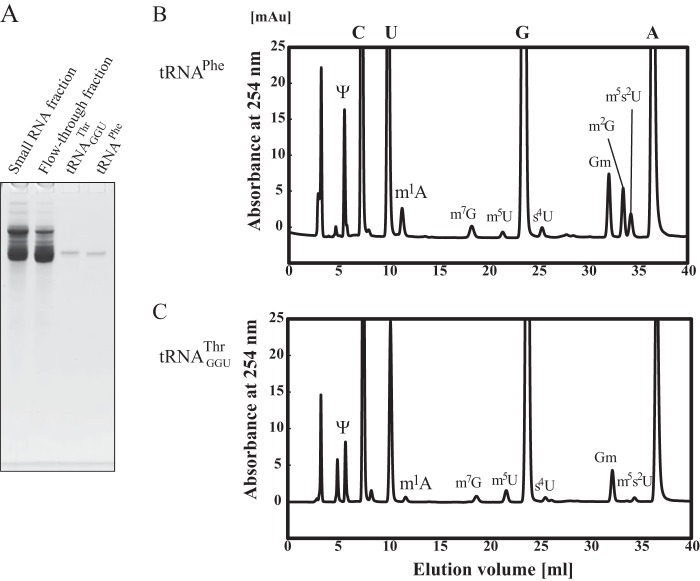 FIGURE 9.