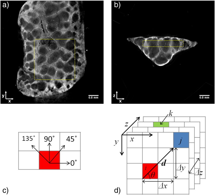 Fig. 2