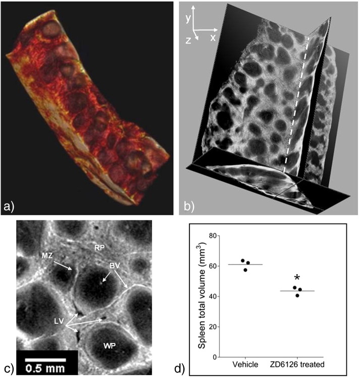 Fig. 3