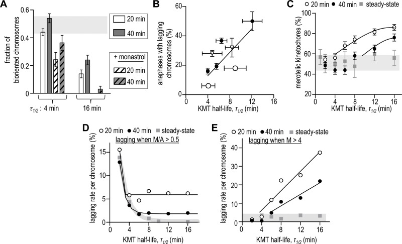 FIGURE 5: