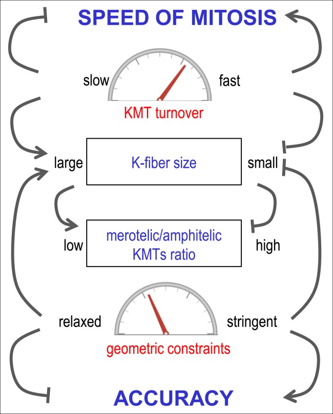 FIGURE 6: