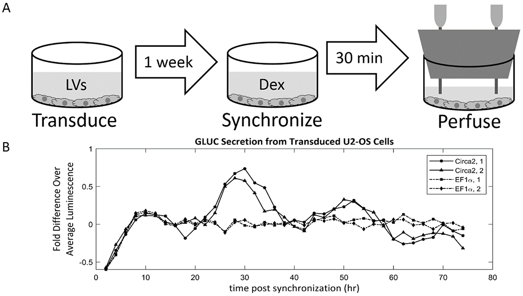 Figure 6.