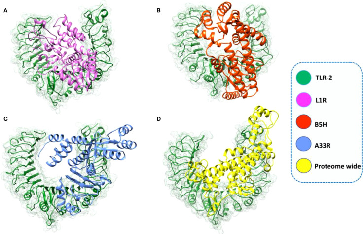 Figure 6