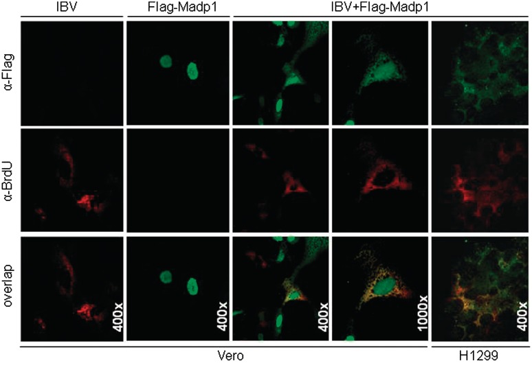 Figure 2.