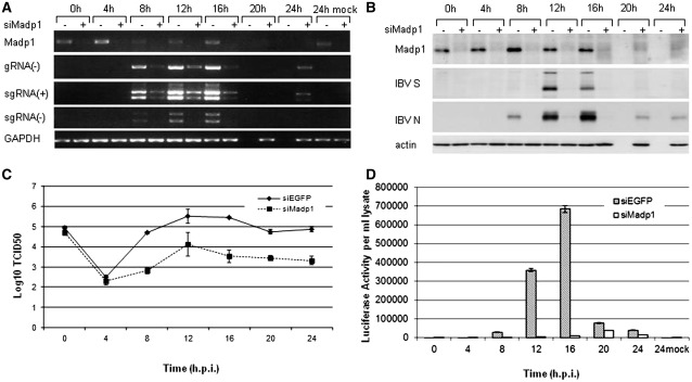 Figure 5.