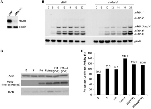 Figure 7.