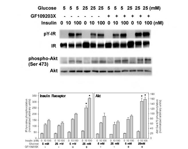 FIG. 11.