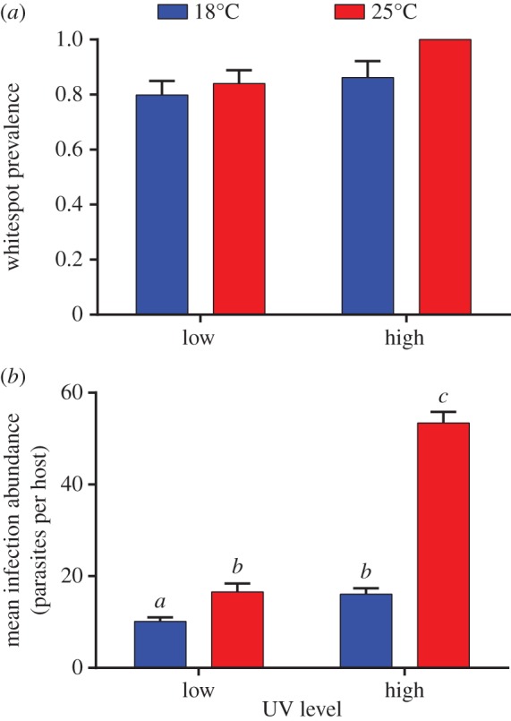 Figure 2.