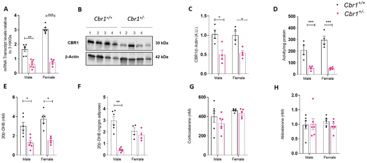 Figure 3