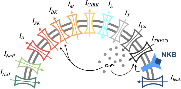 Appendix 1—figure 1.