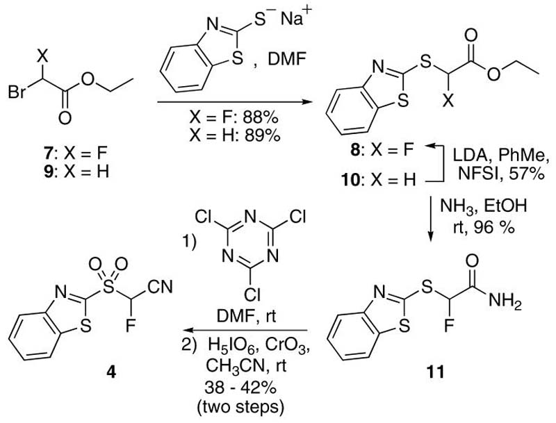 SCHEME 2