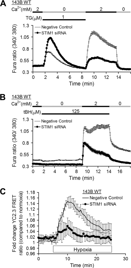 Fig. 11.