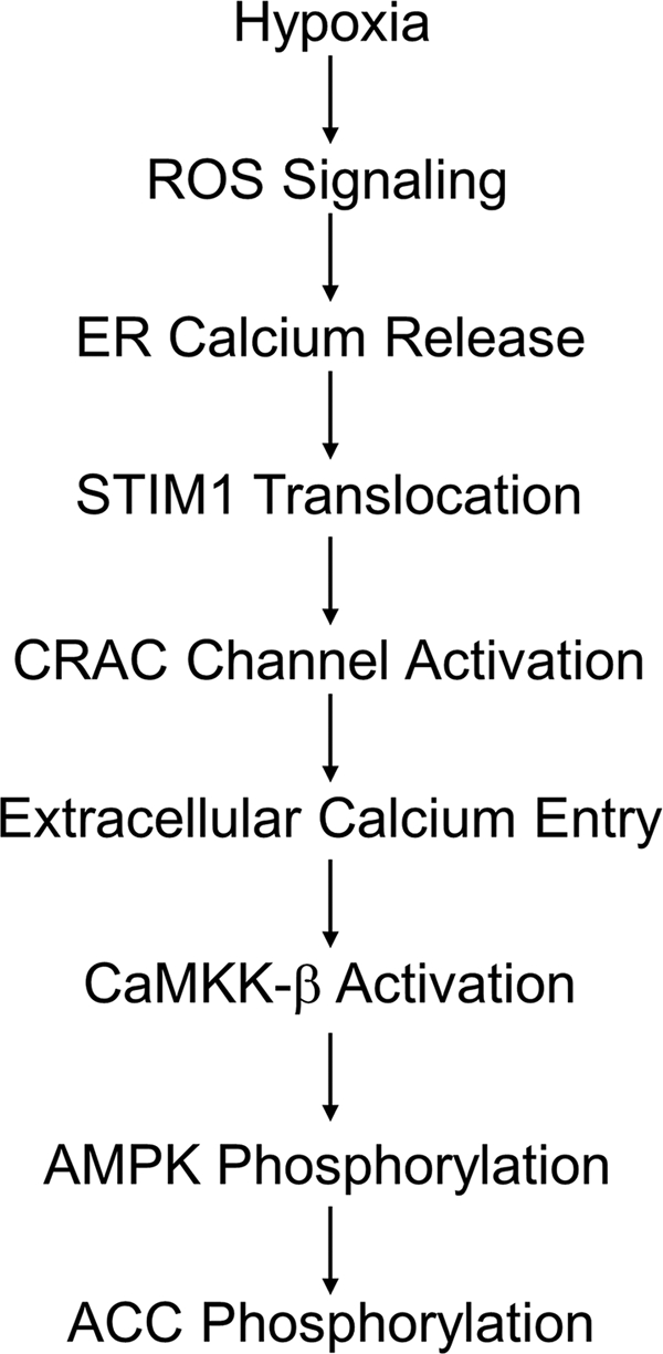 Fig. 14.