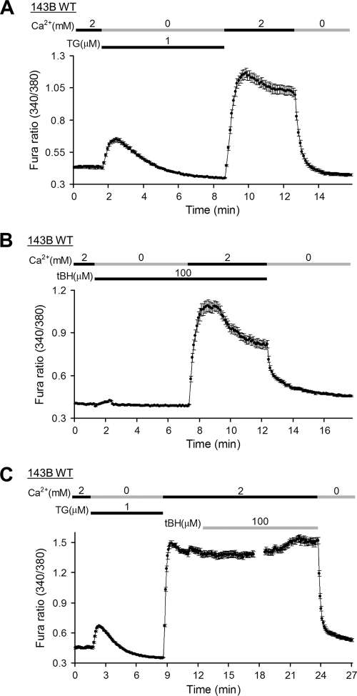 Fig. 8.