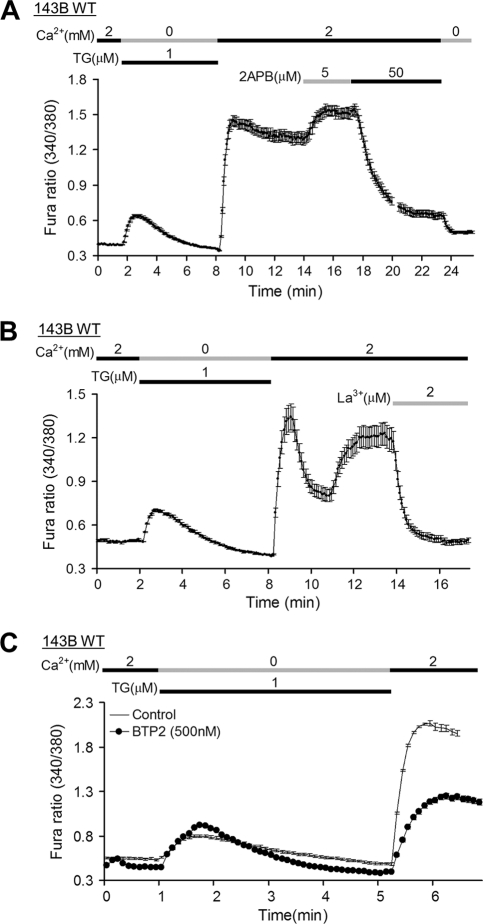 Fig. 9.