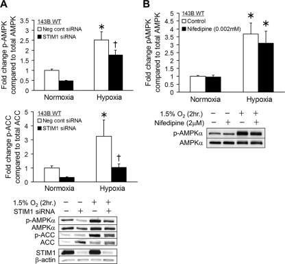 Fig. 12.