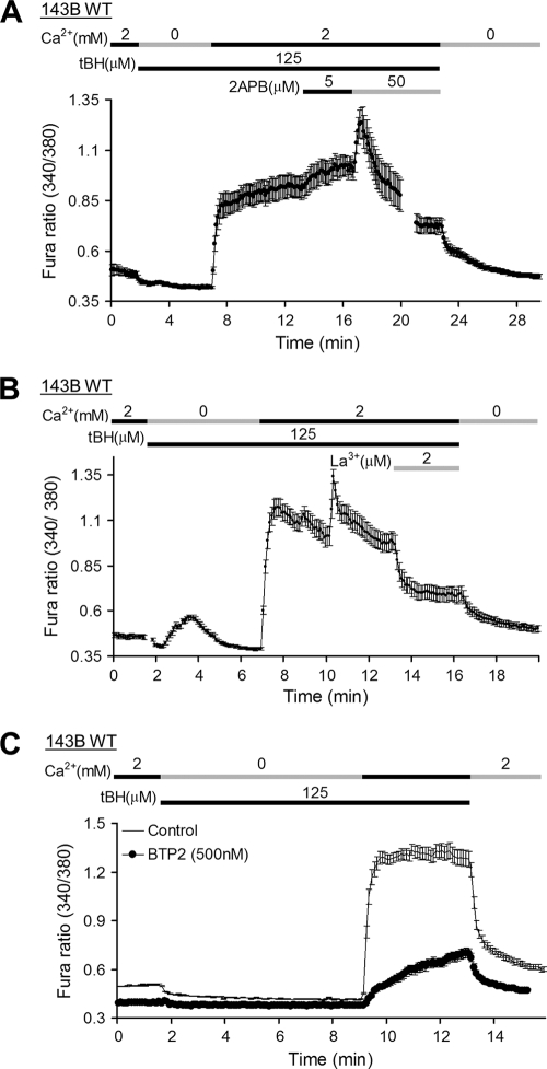 Fig. 10.