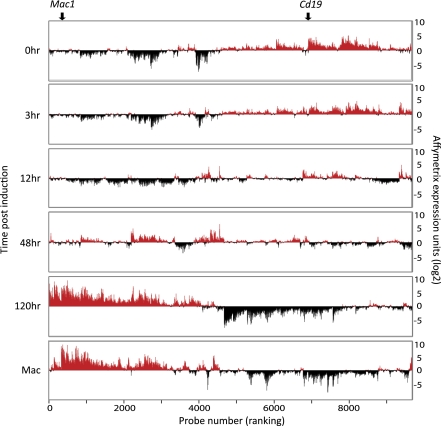 Fig 1.