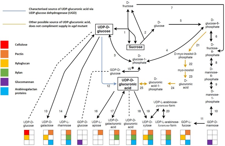 FIGURE 4