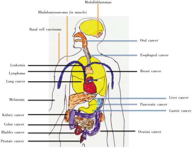 Figure 3.