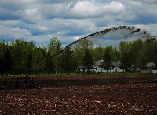 Photograph of a traveling gun spraying liquid manure near a house