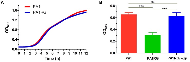 FIGURE 6