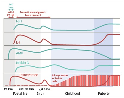 Figure 1: