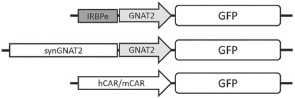 Fig. 87.1