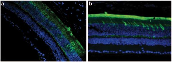 Fig. 87.3