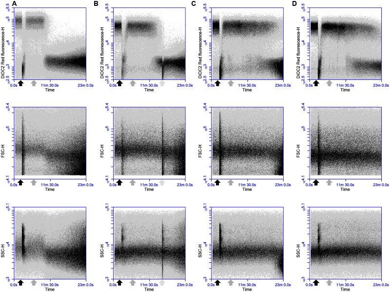 FIGURE 4