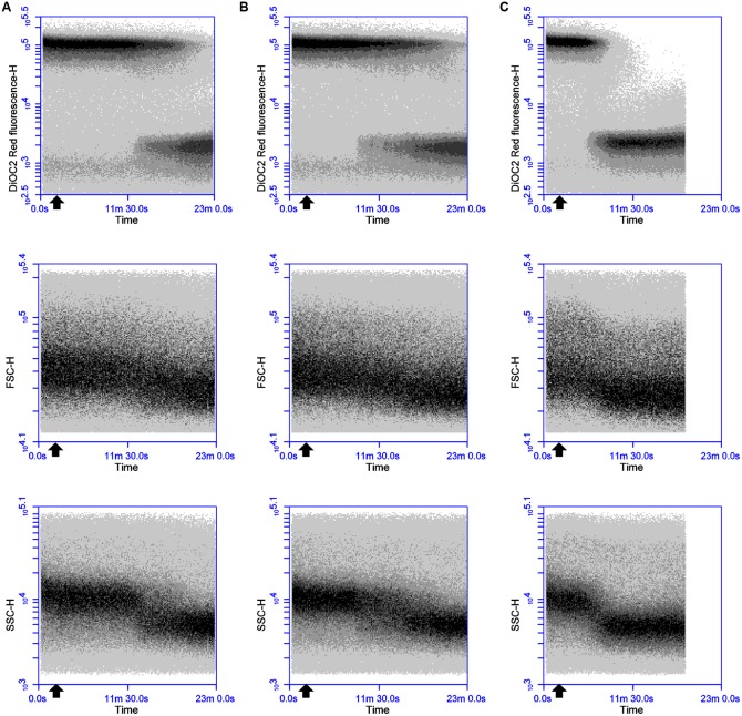 FIGURE 3