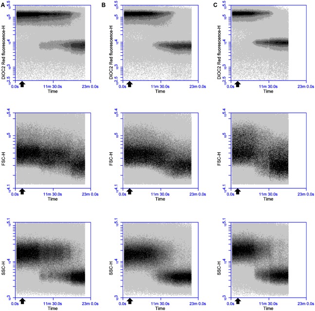 FIGURE 2