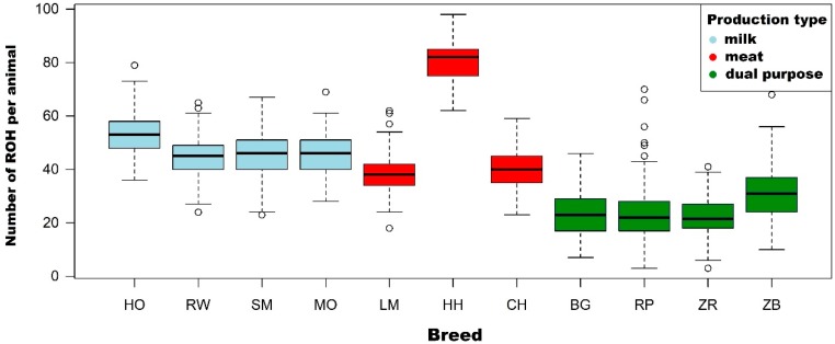 A Comprehensive Analysis Of Runs Of Homozygosity Of Eleven Cattle 