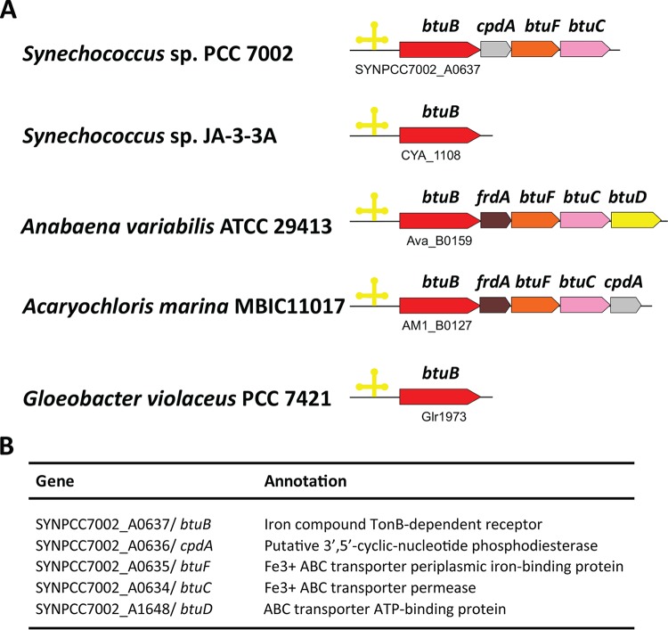 FIG 1