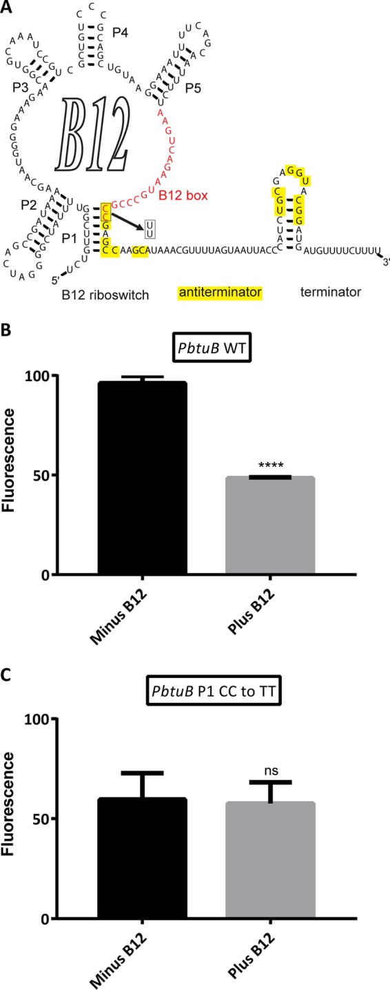 FIG 5