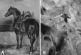 Fig. 4