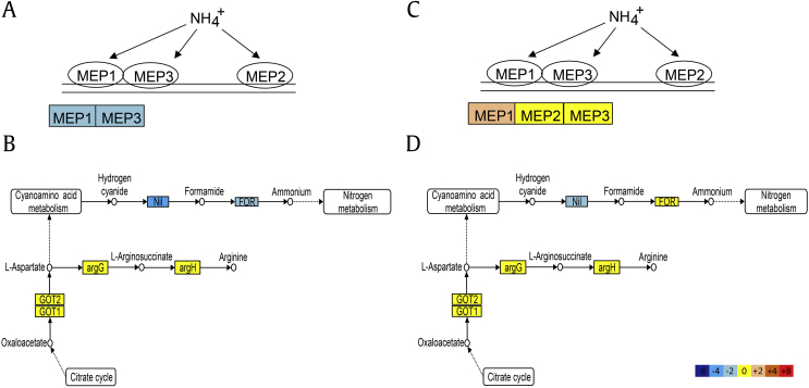 Fig. 6