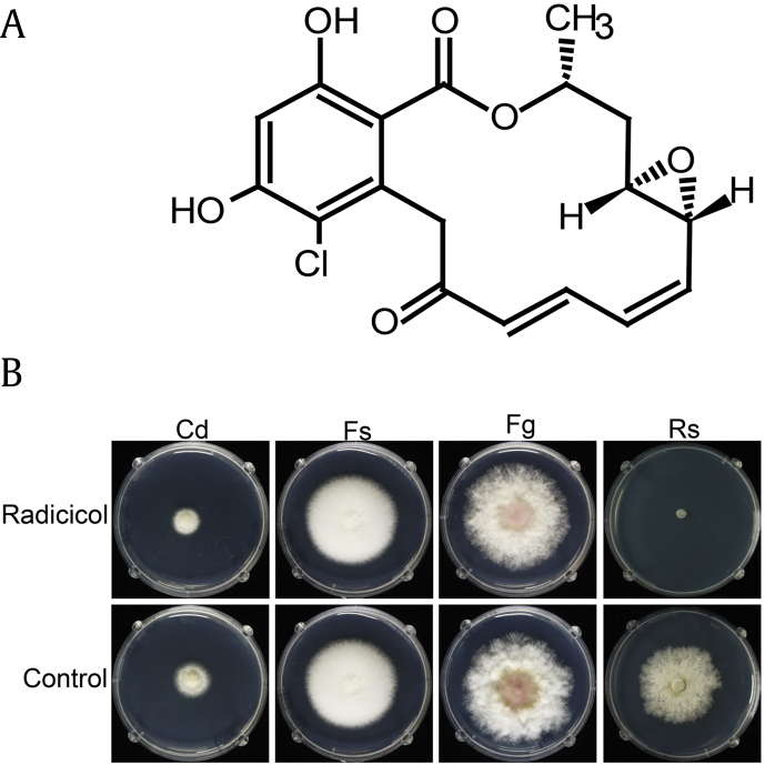 Fig. 1