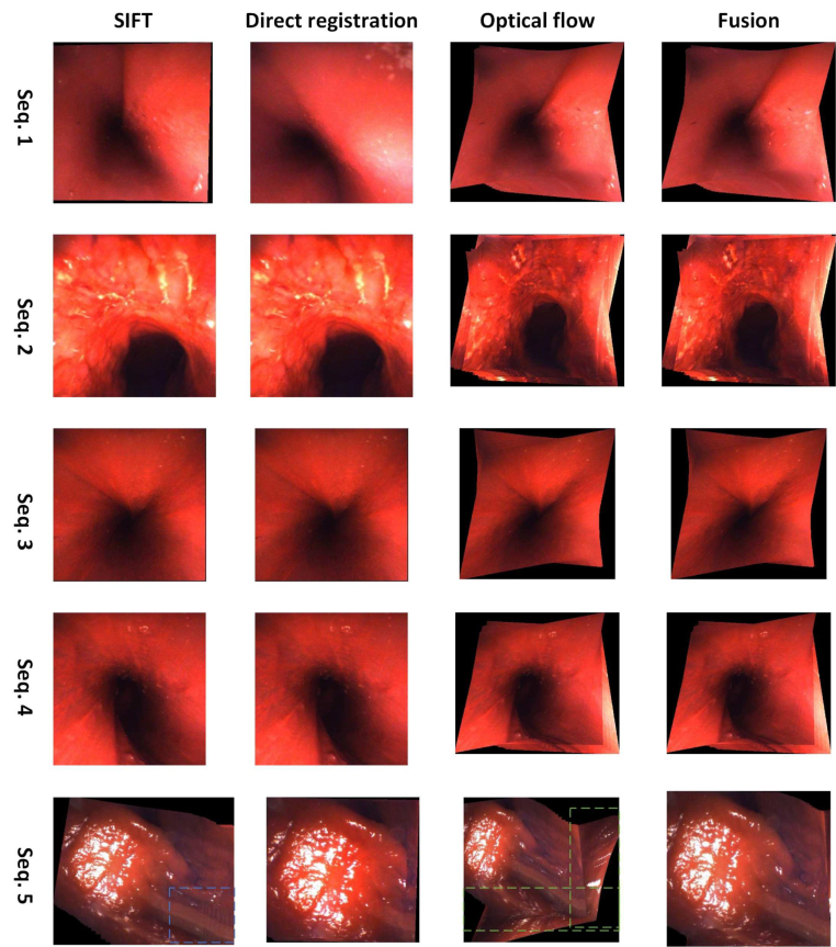 Fig. 7