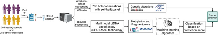 FIGURE 1