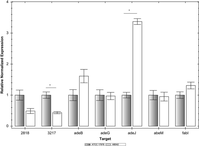 FIG 2