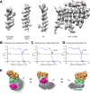 Figure 1—figure supplement 4.