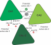 Figure 3—figure supplement 1.