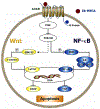 Fig. (2).