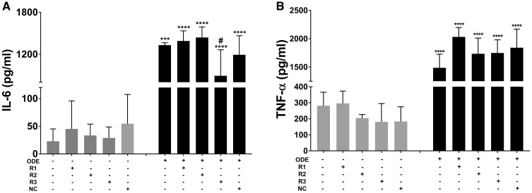 Figure 11.