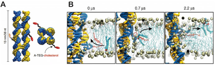 Fig. 14