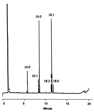 FIG. 1