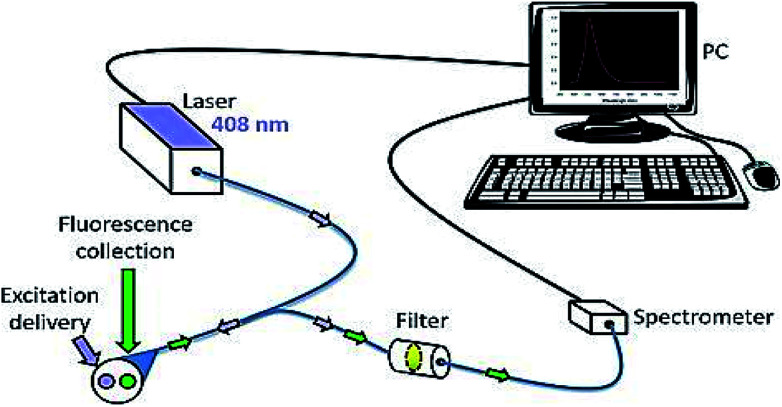 Fig. 10